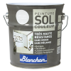 Peinture Sol Couleur Blanchon 0.5L